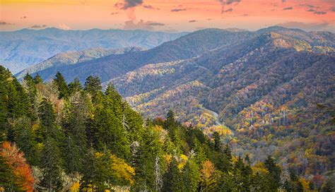 Guide To Planning A Trip To Yosemite National Park