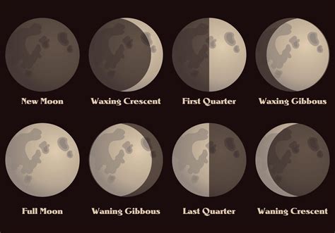 Moon Phases Clipart Set Svg File New Free Beautiful Calligraphy Fonts
