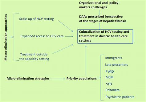 Hcv Macro And Micro Elimination Approaches And Strategies Based On