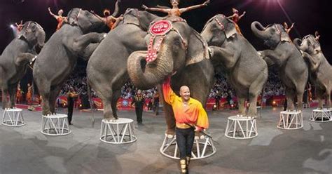 Ringling Bros Circus Elephants To Retire In May