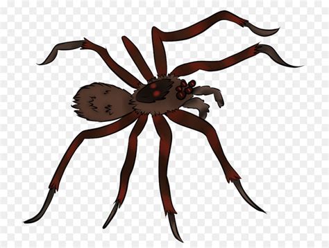 Animated Spiders Clipart 10 Free Cliparts Download Images On