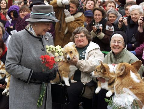 Two New Corgi Puppies Bring Comfort To Queen Elizabeth