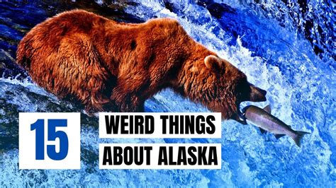 15 Surprising Things About Living In Alaska Youtube