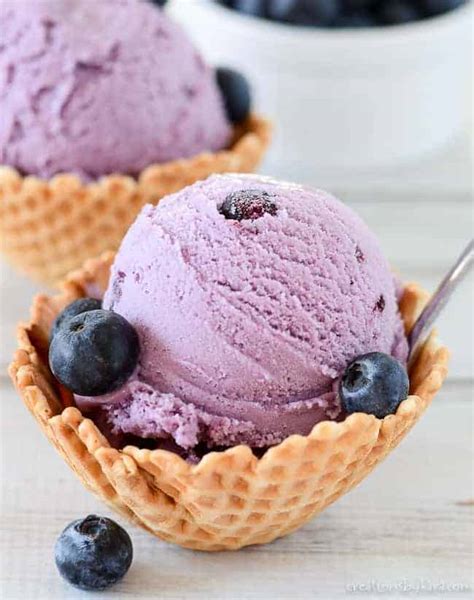 Best Ever Homemade Blueberry Ice Cream Recipe