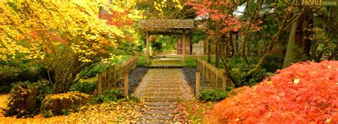 We did not find results for: Fall Facebook Covers | Free Fall Facebook Covers for ...