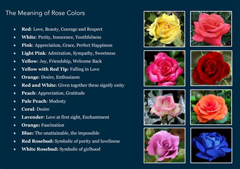 Secrets Of A Craft Freak The Meaning Of Rose Colors