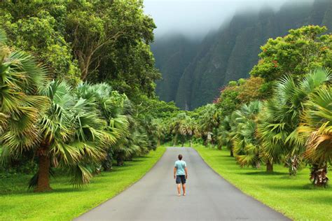 30 Things To Do In Oahu Hawaii Vagamundeando