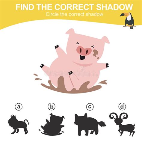 Find The Correct Shadow Of The Pig Matching Animal Shadow Game For