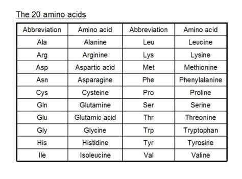 Write Down The Names Of Various Amino Acids With Their Abbreviation Code