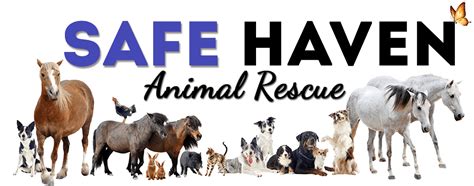 Safe Haven Animal Rescue Rescue Animal