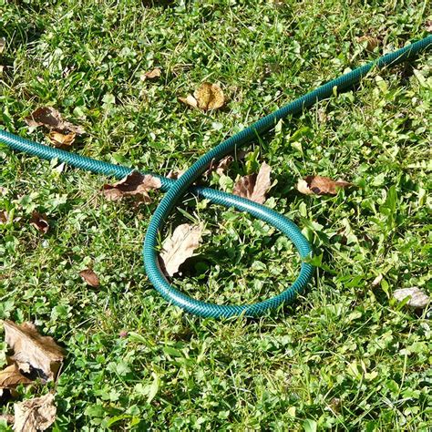 It's not nearly as simple as turning on the sprinklers and walking away! Watering New Lawns From Seed Or Turf | Lawn Seeds