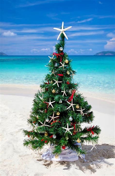 30 Beach Christmas Tree Decorations Decoomo
