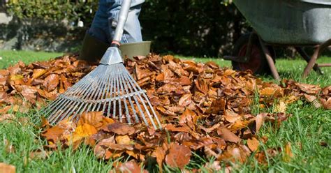 Fall Lawn Maintenance Tips