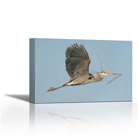 Great Blue Heron Flying With Nest Material Kensington Metropark