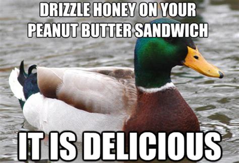 The 50 Funniest Good Advice Duck Memes Complex