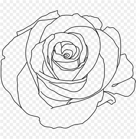 So simple line art flower floral black minimalist minimalism. Clipart rose minimalist, Clipart rose minimalist ...