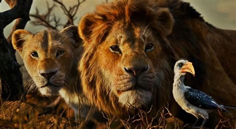 Le Roi Lion En Streaming Vf 2019 📽️