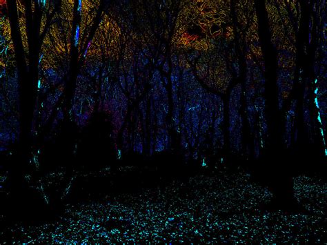 Psychedelic Night Forest Trees In Highgate Wood 311 Photograph By
