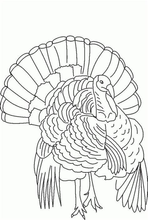 03.12.2020 · hunting coloring pages is done by humans to satisfy their stomachs. Wild Turkey Coloring Pages - Coloring Home