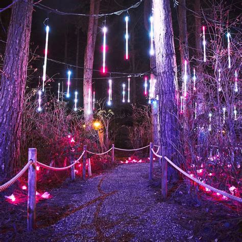 Sherwood Forest Christmas Lights