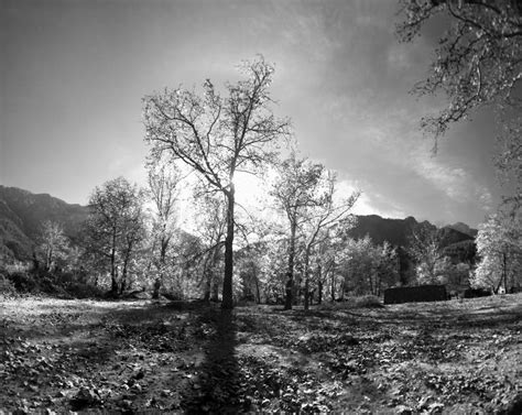 Black And White Landscape Photography And Infrared Stock Image Image