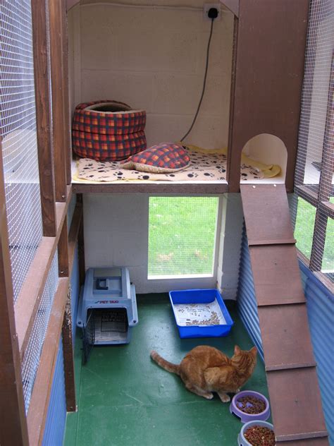 What Is A Cattery Catteries Cattery And Small Animals Boarding