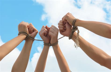 Three Pairs Of Human Hands Tied Up Together Stock Photo Download
