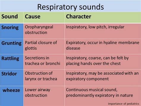 Respiratory Sounds Respiratory Sounds Airway Management Emt Study
