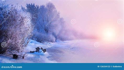 Beautiful Winter Landscape Scene Background With Snow Covered Trees And