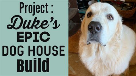 Building A Big Dog House Great Pyrenees Dukes Epic House Build Vlog