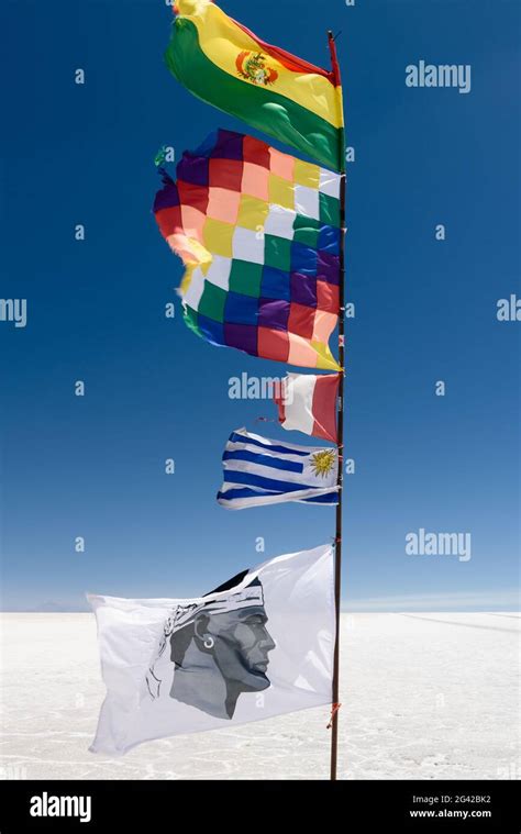 Banderas Del Mundo En Salar De Uyuni Sal Plana Fotografías E Imágenes