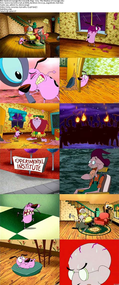Download Courage The Cowardly Dog S01 480p X264 Jlw Softarchive