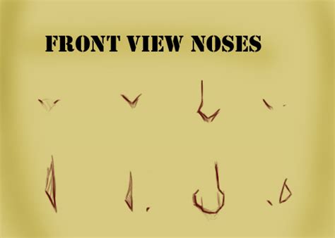 We did not find results for: Front View Noses by Kira09kj on DeviantArt