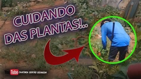 Limpando O Quintal De Casa Cuidando Das Plantas Youtube