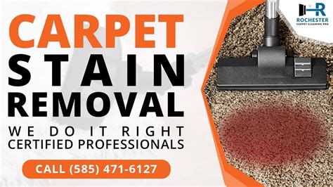 The cooperative advantage gives us the buying power to purchase quality products at. Done Right Carpet Cleaning Rochester Ny | Lets See Carpet ...
