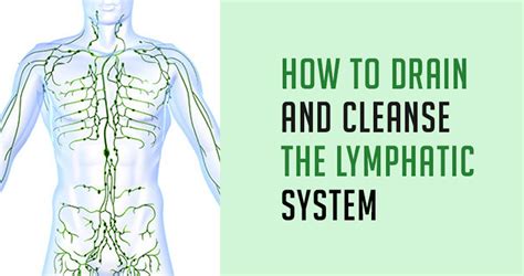 How To Drain And Cleanse The Lymphatic System Naturally
