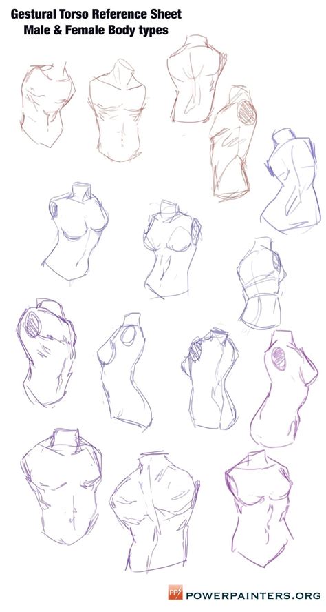 Hey Power Painters Here Are Some Torso Sketches To Use As A Reference Its Really Helpful To