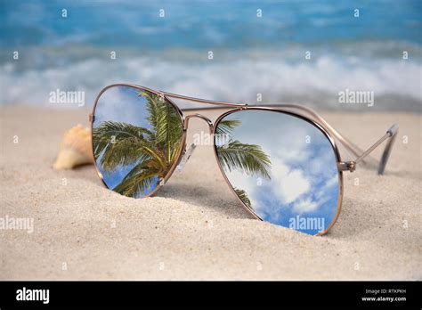 Holiday Sunglasses Reflection Palm Tree High Resolution Stock