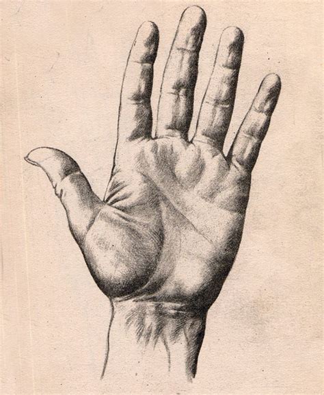 cómo dibujar las manos dibujo de manos dibujos de manos la mano humana Easy Pencil Drawings