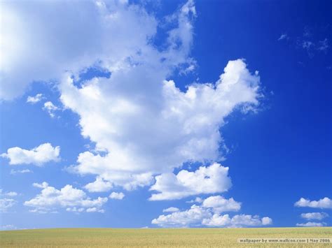 壁纸1024×768晴朗天空 蓝天白云 原野的天空 晴朗天空图片 Desktop Wallpaper Of Blue Sky壁纸晴朗天空蓝天