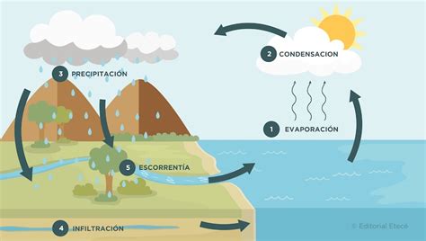 Ciclo Hidrológico La Circulación Continua Del Agua En La Naturaleza