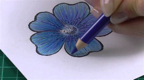 Colouring Technique With Coloured Pencils Flowers Youtube