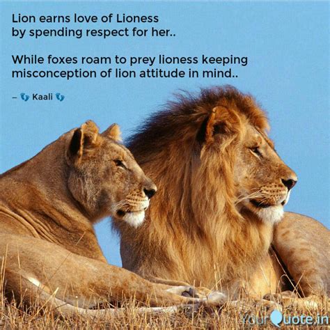 68 Love Lion And Lioness Quotes Carmod