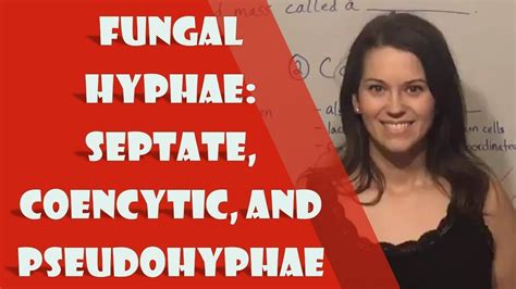 Septa with simple pores and woronin bodies; Fungal Hyphae: Septate, Coencytic, and Pseudohyphae - YouTube