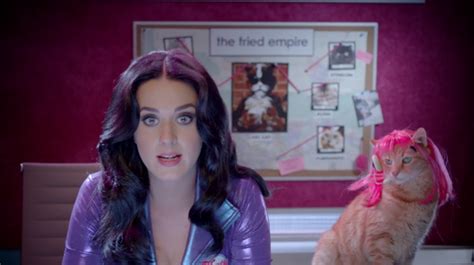 Join Katy Perry And Others For The Top 10 Video Catdown Georgia