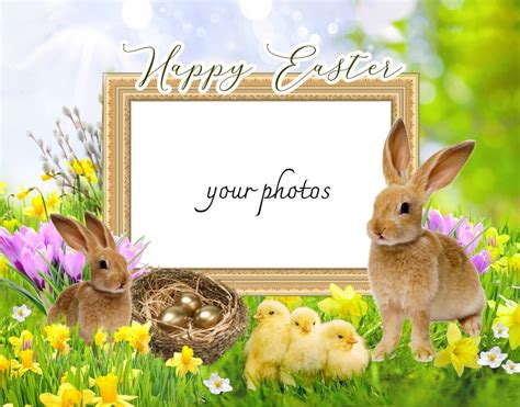 Easter Backdrop For Photoshop Easter Bunny Digital Frame Etsy
