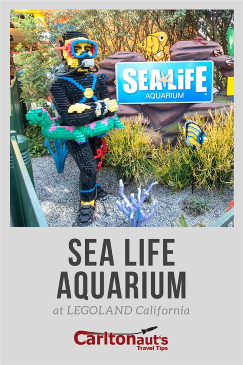 Sea Life Aquarium At Legoland California Carltonauts Travel Tips