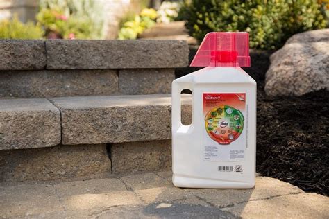 I spray it on several weeds in my grassy lawn to see if it really can kill the weeds without killing the grass around the weed. Roundup Weed And Grass Killer Review | TopTillers.com