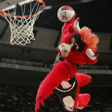 Benny The Bull Mascot Hall Of Fame