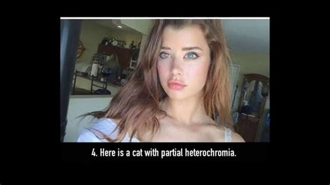 16 Photos Showing The Beautiful Mutation That Is Heterochromia Youtube